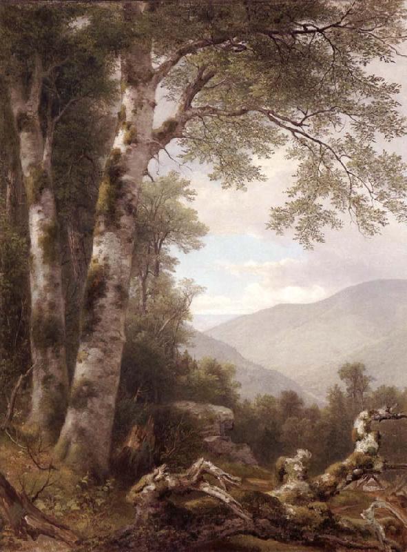 Asher Brown Durand Landscape with Birches Norge oil painting art
